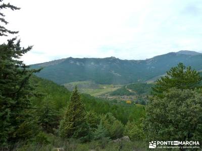 La Pedriza - Collado del Cabrón - Charca Verde_ excursiones de senderismo;viajes de un dia